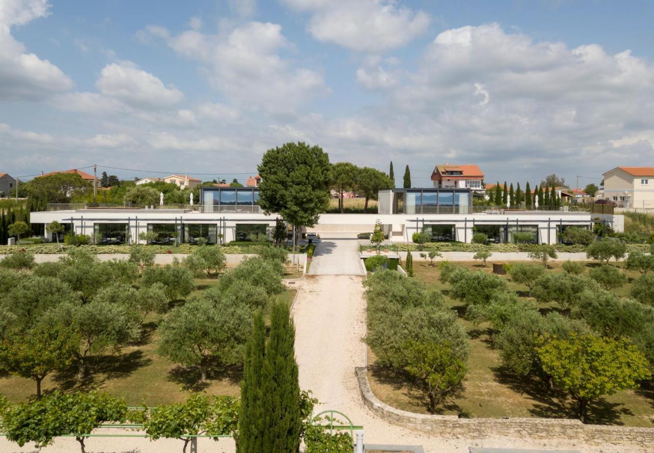 Villa Albina & Domenica Zadar Eksteriør billede