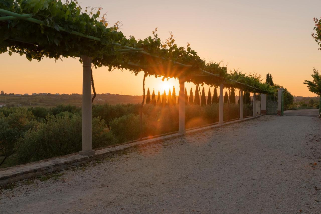 Villa Albina & Domenica Zadar Eksteriør billede