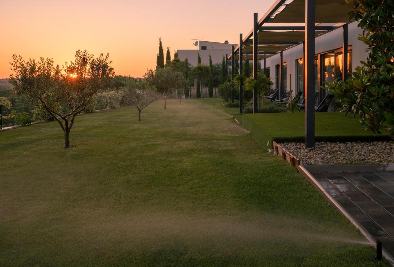Villa Albina & Domenica Zadar Eksteriør billede