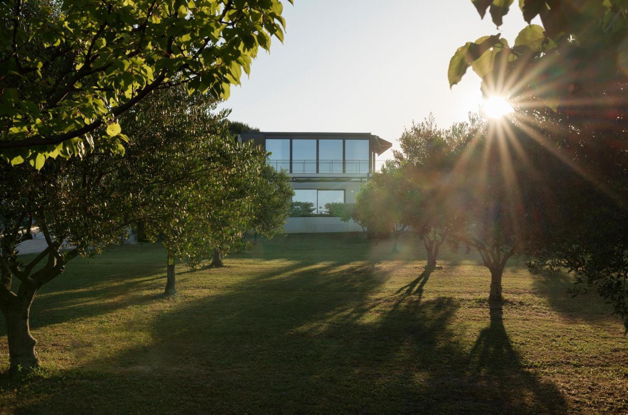 Villa Albina & Domenica Zadar Værelse billede